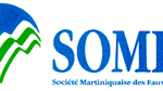 SOMES