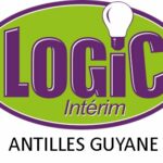 LOGIC INTERIM AG