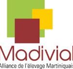 MADIVIAL
