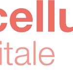 La Cellule Digitale - Studio HAVAS